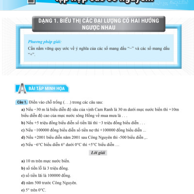 Rèn Kỹ Năng Giải Các Dạng Bài Toán (Cơ Bản Và Nâng Cao) Lớp 6 - Tập 1_MEGABOOK