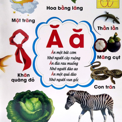 Từ Điển Bằng Tranh - Bảng Chữ Cái Tiếng Việt