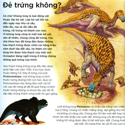 Bạn Có Biết: Khủng Long Có Đẻ Trứng Không? - Hỏi Đáp Về Bò Sát Thời Tiền Sử