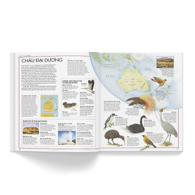 Sách - Atlas Động Vật + Atlas Các Loài Chim - Combo 2 Cuốn - Đông A