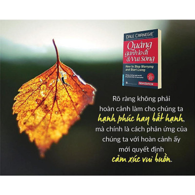 Sách - Đắc Nhân Tâm - Khổ Nhỏ + Quẳng Gánh Lo Đi Và Vui Sống - Khổ Nhỏ