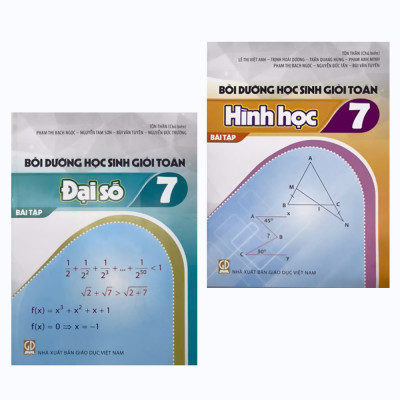 Combo: Bộ Sách Bồi dưỡng Học sinh giỏi Toán 7 (BT Đại số + Hình học)