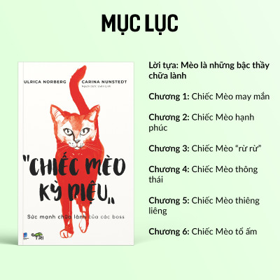 Sách - Chiếc Mèo Kỳ Diệu - Ulrica Norberg & Carina Nunstedt - Tuệ Tri