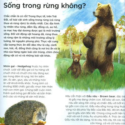 Bạn Có Biết: Động Vật Có Cần Che Ô Không? - Hỏi Đáp Về Thế Giới Hoang Dã