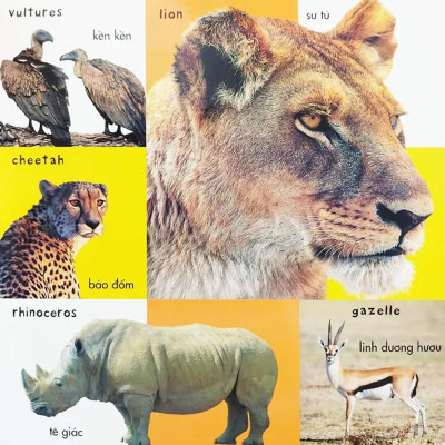 Sách - Loài Động Vật Đầu Tiên - Bộ  Từ Vựng Đầu Đời Cho Bé - Tân Việt Books