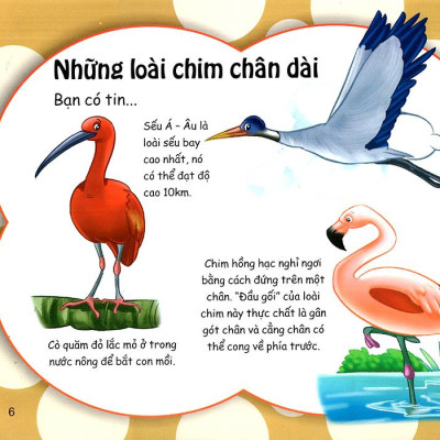 Những Điều Kỳ Thú - Thú Vị Các Loài Chim