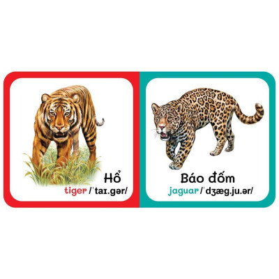 Sách - Boxset Vàng 9 Cuốn Từ Điển Bằng Hình Đầu Tiên Của Bé Từ 0-6 Tuổi - Song Ngữ Anh Việt - Việt Thư