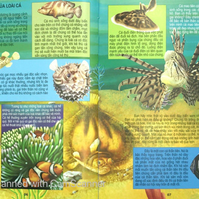Thế Giới Động Vật Kì Thú - Đại Dương Kì Bí
