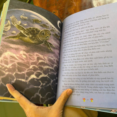 (Bìa cứng, In màu) Thiên Nhiên Diệu Kỳ: TRUYỆN KỂ TỪ ĐẠI DƯƠNG - Chae Strathie, Erin Brown - Ngọc Anh dịch - Đinh Tị