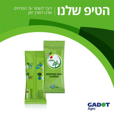 Thuốc Dưỡng Hoa Tươi Cắt Cành Nhập Khẩu Israel hiệu Longlife (1 thùng 1.000 gói 5gr) phù hợp dùng làm nước cắm hoa cho mọi loại hoa tại nhà và 14 ngày không cần thay nước mới