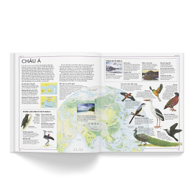 Sách - Atlas Động Vật + Atlas Các Loài Chim - Combo 2 Cuốn - Đông A