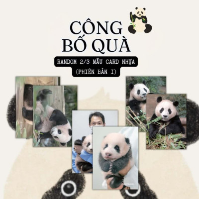 Sách - Fubao Toàn Trí - AZ Việt Nam