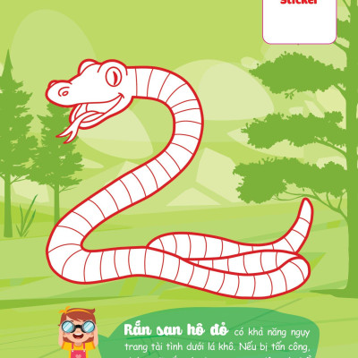 Con Tô Màu - Thám Hiểm Amazon