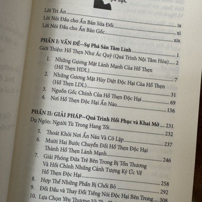 HIỂU ĐỂ CHỮA LÀNH - THOÁT KHỎI NỖI HỔ THẸN ĐỘC HẠI - John Bradshaw- Mai Thảo Yên dịch -  NXB Trẻ
