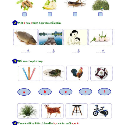Phiếu bài tập cuối tuần Tiếng Việt 1 - Biên soạn theo chương trình mới (Sách màu)