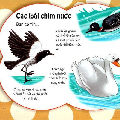 Những Điều Kỳ Thú - Thú Vị Các Loài Chim