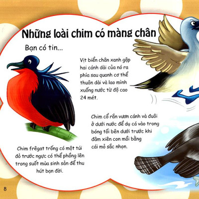 Những Điều Kỳ Thú - Thú Vị Các Loài Chim