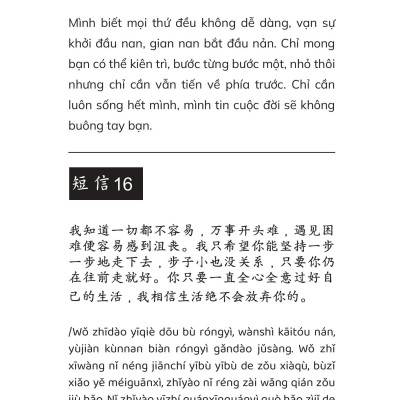 Combo 2 cuốn sách song ngữ Việt - Trung Gửi Cậu Một Cái Ôm Vì Đã Không Bỏ Cuộc + Chưa kịp lớn đã phải trưởng thành 2
