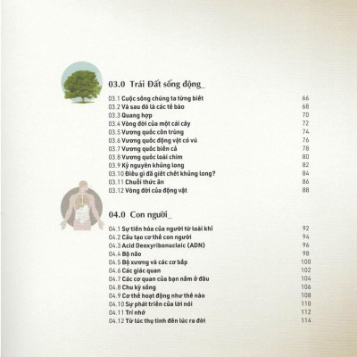 Mọi Điều Cần Biết Về Thế Giới - Everything You Need To Know