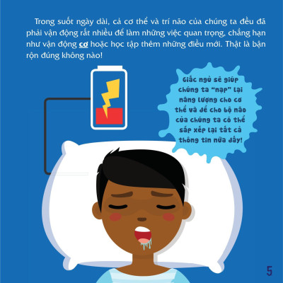 Có Thể Bạn Chưa Biết- Vì Sao Chúng Ta... Ngủ?