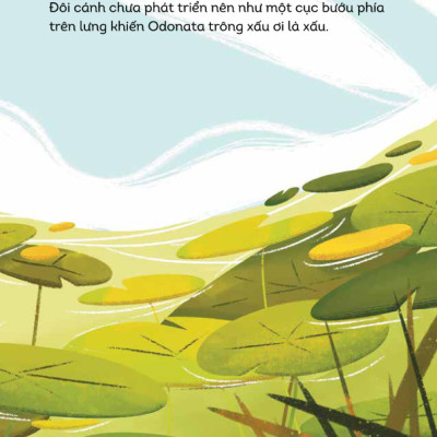 Vương Quốc Côn Trùng - Tung Cánh Bay Cao