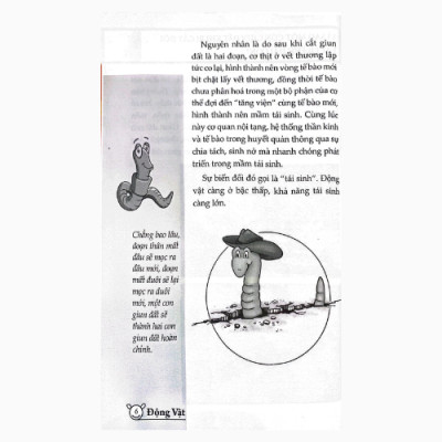 10 Vạn Câu Hỏi Vì Sao (Huy Hoàng)
