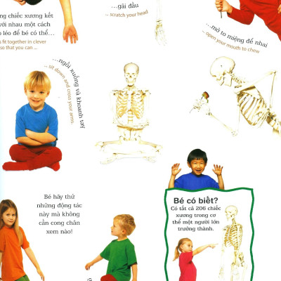 Lớp Học Vui Về Cơ Thể - My Body