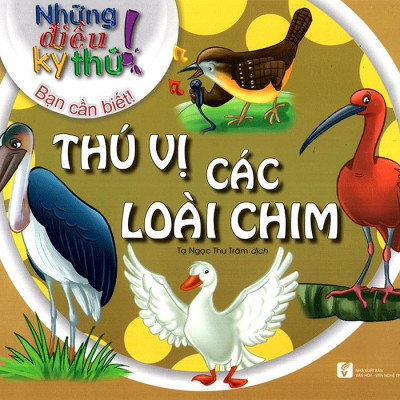 Những Điều Kỳ Thú - Thú Vị Các Loài Chim