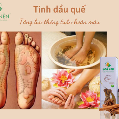 Tinh dầu Quế nguyên chất Hoa Nén 3ml- 100ml - Đuổi côn trùng, khử mùi, lọc không khí