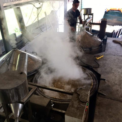 Tinh dầu Hương Nhu nguyên chất 100% từ thiên nhiên - KingOil
