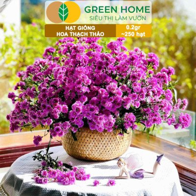Hạt Giống Hoa Thạch Thảo Greenhome, Gói 0.2gr~250 hạt, Dễ Trồng Quanh Năm, Tỷ Lệ Nảy Mầm Cao H14