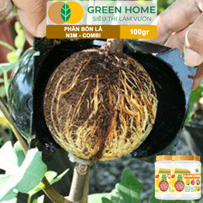 Phân Bón Lá Greenhome, N3M Combi, Hũ 100gr, Ra Rễ Cực Mạnh Dùng Giâm, Chiết Cành, Ngâm Hạt, Kiểng