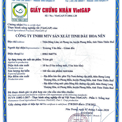 Tinh dầu tràm Huế nguyên chất Hoa Nén - Chuẩn VietGAP - Chăm sóc sức khỏe mẹ và bé 3ml - 100ml