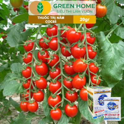 Thuốc Trị Nấm Cây Trồng Greenhome, Coc85 Wp, Gói 20gr, Trừ Đốm Lá Cho Hoa Hồng, Nấm Trên Kiểng Lá, Cây Cảnh, Cây Ăn Quả