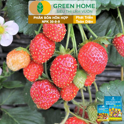 Phân NPK 30-9-9 +TE Greenhome, Minro, Bao 1Kg, Phát Triển Nhanh Thân, Cành, Lá, Bộ Rễ