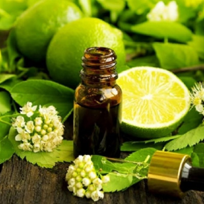 Tinh dầu Trái Chanh tươi 50ml nguyên chất từ thiên nhiên, xông phòng, khử mùi, thơm phòng, đuổi muỗi, thư giản - KingOil