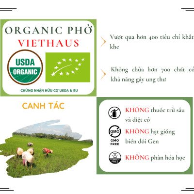 Phở Hữu Cơ Viet Haus