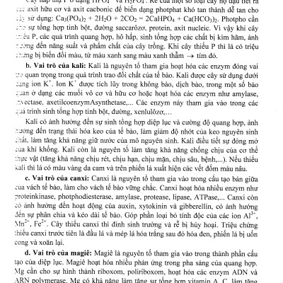 Bồi Dưỡng Học Sinh Giỏi Sinh Học 11 - Phan Khắc Nghệ (Dùng Chung Cho Các Bộ SGK Hiện Hành)_HA