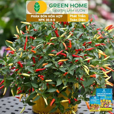 Phân NPK 30-9-9 +TE Greenhome, Minro, Bao 1Kg, Phát Triển Nhanh Thân, Cành, Lá, Bộ Rễ