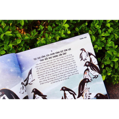 Sách - 366 câu hỏi lý thú của trẻ - Everything Under The Sun - Đinh Tị Books