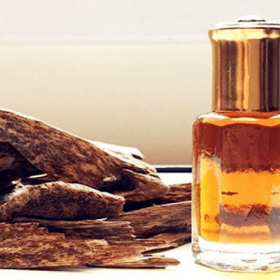 Tinh dầu Trầm Hương (Agarwood Essential Oil) dùng để xông phòng, khử mùi, thơm phòng, đuổi muỗi, thư giản - KingOil