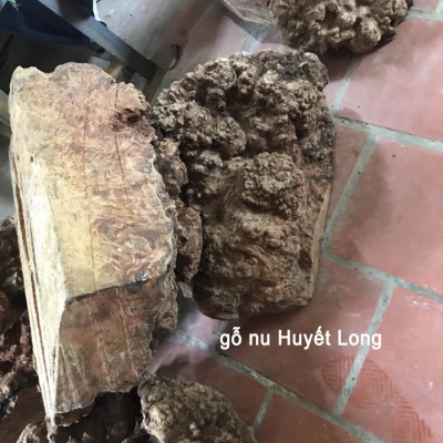 Vòng Tay Gỗ Nu Huyết Long (BH642) Trừ tà ma, giảm tai ương - đem lại tài lộc, sức khỏe, bình an - Bracelet of HAHANCO