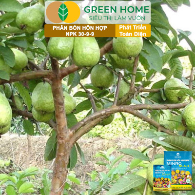 Phân NPK 30-9-9 +TE Greenhome, Minro, Bao 200gr, Phát Triển Nhanh Thân, Cành, Lá, Bộ Rễ Trên Kiểng, Cây Ăn Trái, Củ, Quả