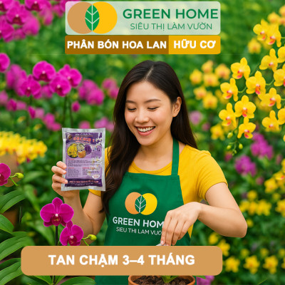 Phân Bón Lan Greenhome, 1 Tép, Túi Lưới, Tan Chậm, Không Mùi Hôi, Dưỡng Lan Ra Rễ, Xanh Tốt, Dùng Tốt Cho Sen Đá, Kiểng