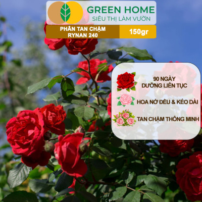 Phân Tan Chậm GreenHome, Rynan 240, Hũ 150gr, Dùng Cho Hoa Hồng Ra Hoa Đều Và Màu Sắc Rực Rỡ