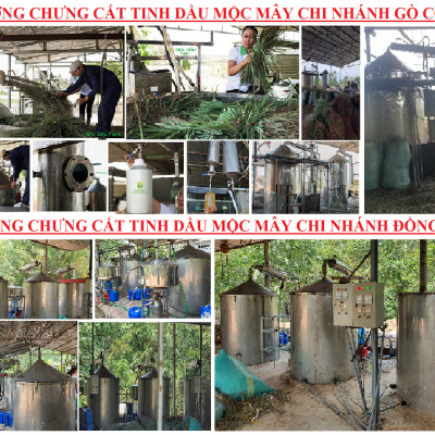 Tinh dầu hoa Sen Trắng 50ml Mộc Mây - tinh dầu thiên nhiên nguyên chất 100% - chất lượng và mùi hương vượt trội - Có kiểm định