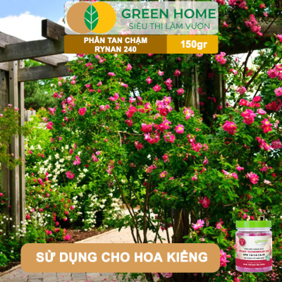 Phân Tan Chậm GreenHome, Rynan 240, Hũ 150gr, Dùng Cho Hoa Hồng Ra Hoa Đều Và Màu Sắc Rực Rỡ