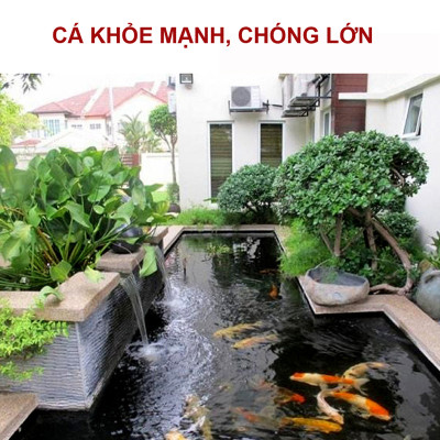 Sứ Lọc túi 1kg + Xốp lọc bể cá 90x30cm vật liệu lọc nước hồ thủy sinh siêu sạch
