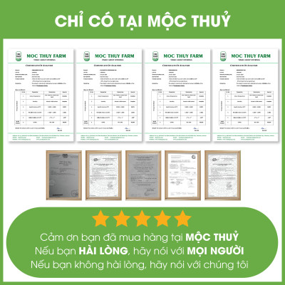 [Mua 10 tặng 1] Thùng 10 tinh dầu treo xe Mộc Thủy - giúp khử mùi xe hơi, làm thơm phòng, thư giãn, đuổi muỗi 7ml (nhiều mùi chọn lựa)