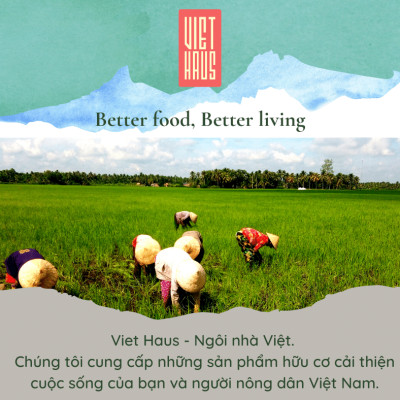 Phở Hữu Cơ Viet Haus